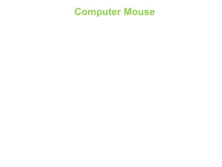 Computer Mouse
 