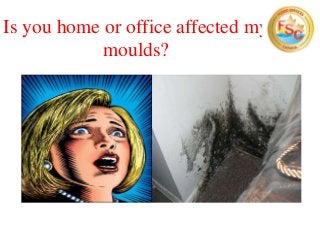 Is you home or office affected my
moulds?
 