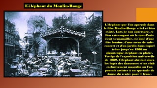 L’éléphant du Moulin-Rouge
L'éléphant que l'on aperçoit dans
le film Moulin-Rouge a bel et bien
existé. Lors de son ouverture, ce
lieu extravagant où le tout-Paris
vient s'encanailler, est doté d'une
fête foraine, d'une scène de café-
concert et d'un jardin dans lequel
trône jusqu'en 1906 un
gigantesque éléphant en plâtre.
Vestige de l'exposition universelle
de 1889, l'éléphant abritait alors
les loges des danseuses et un club
exclusivement masculin où l'on
pouvait assister à un spectacle de
danse du ventre pour 1 franc.
 