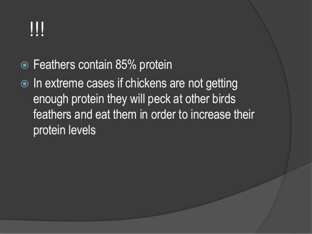 moulting in birds moulting in birds