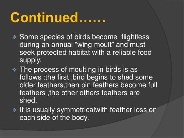 moulting in birds moulting in birds