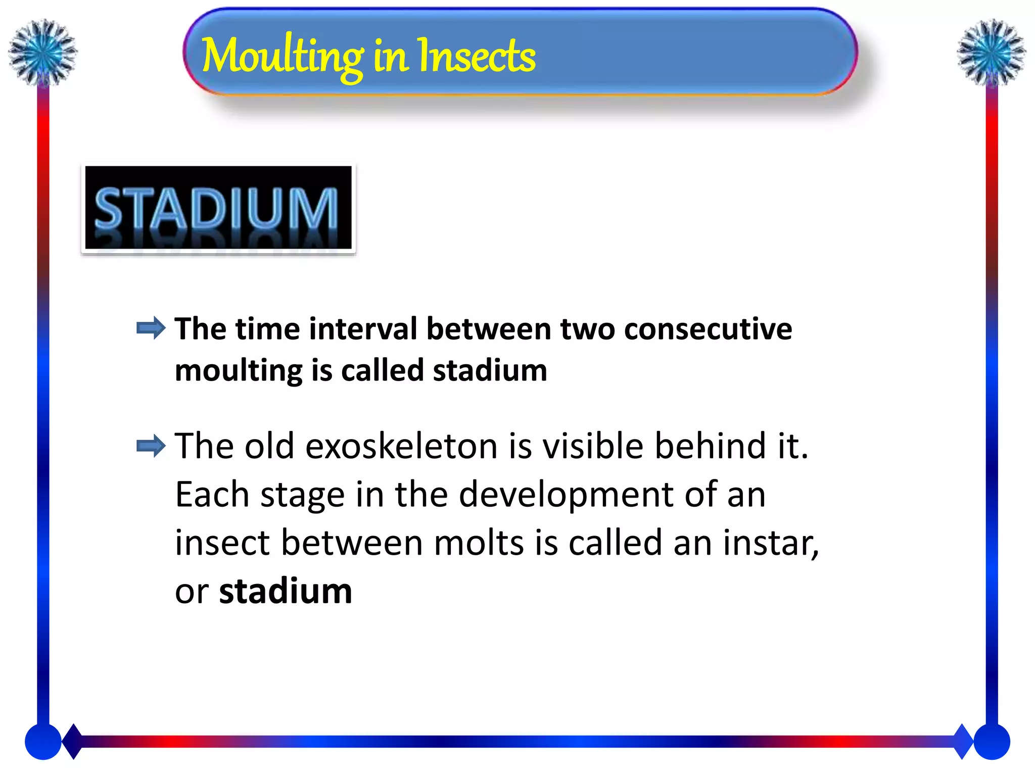 Moulting in Insect by sami | PPSX