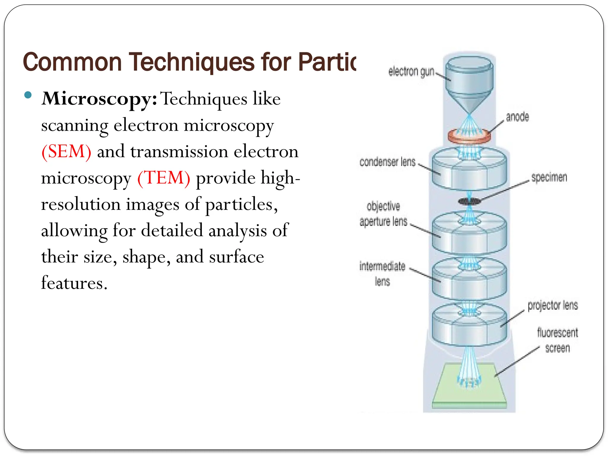 Common Techniques for Particle Characterization
 Microscopy:Techniques like
scanning electron microscopy
(SEM) and transmission electron
microscopy (TEM) provide high-
resolution images of particles,
allowing for detailed analysis of
their size, shape, and surface
features.
 