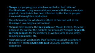 Mount everest PPT | PPTX