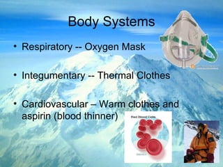 Body Systems Respiratory -- Oxygen Mask Integumentary -- Thermal Clothes Cardiovascular – Warm clothes and aspirin (blood thinner) 