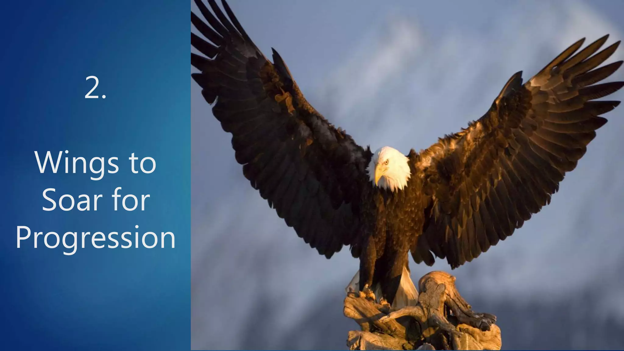2.
Wings to
Soar for
Progression