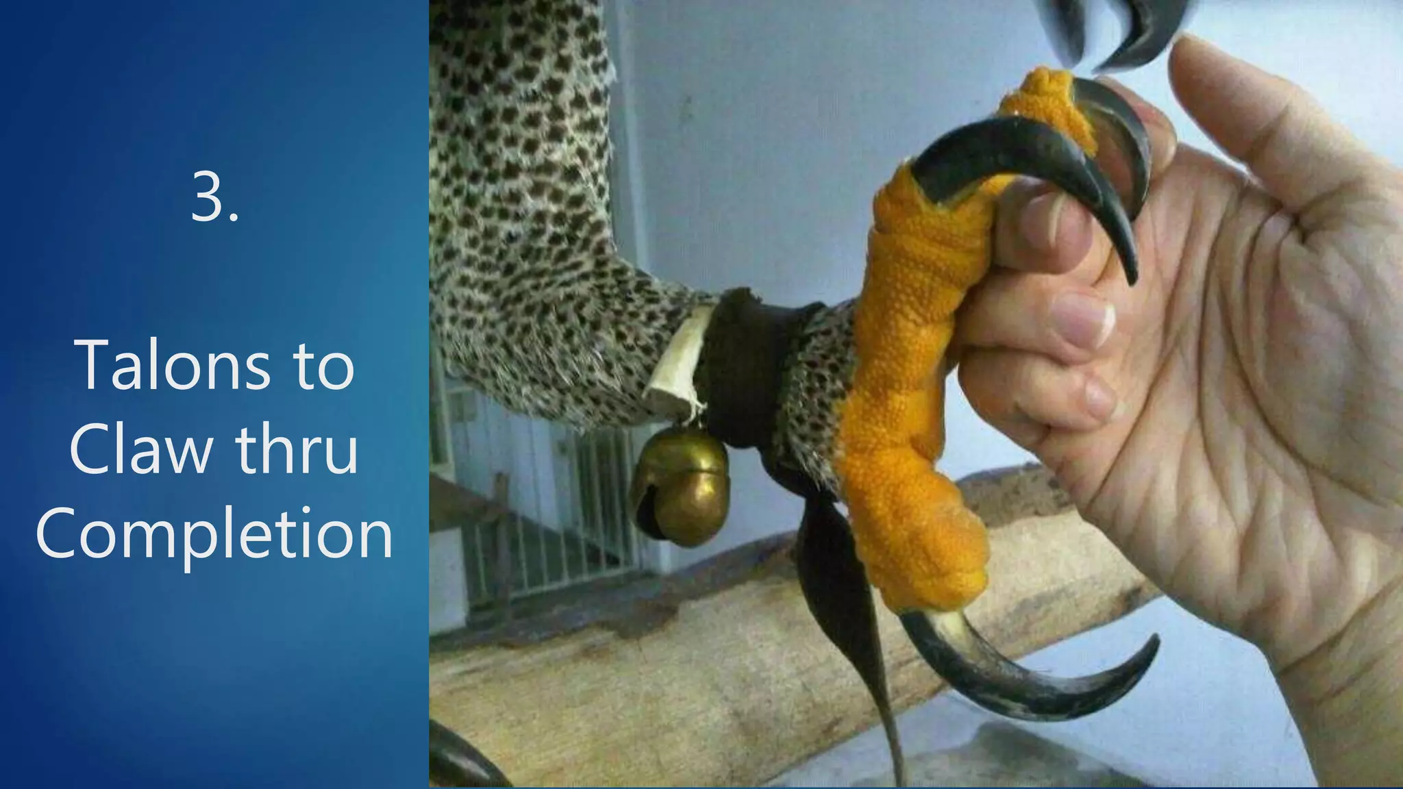 3.
Talons to
Claw thru
Completion