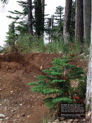 Go ahead, rip it up: Trails at pay-and-
play parks like Whistler Mountain in
British Columbia are reinforced to with-
stand the most aggressive riding styles.
When you ride on public lands, however,
avoid skids and slides. Roll the corners.

Action: Wade Simmons, Freight Train
Trail, Whistler Mountain Bike Park.


        December 2009 / MOUNTAIN BIKE ACTION   43
 