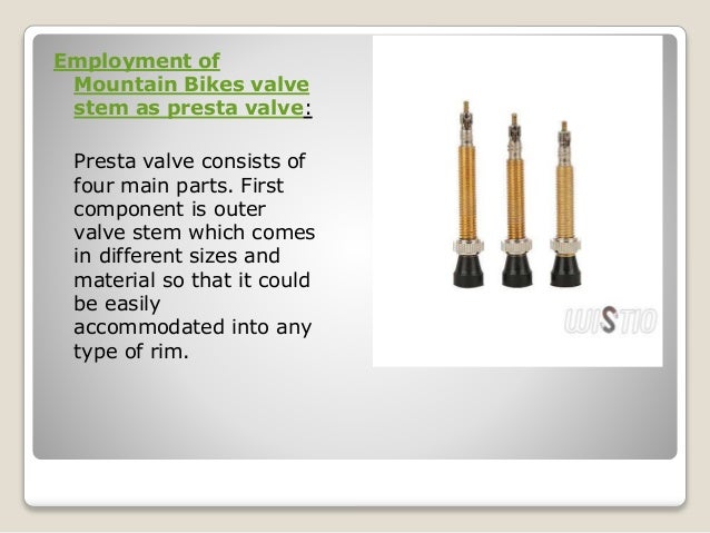 bike valve stem types