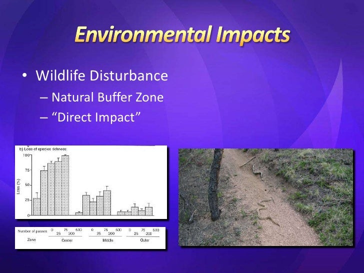 Mountain Biking And Its Effects On The Environment