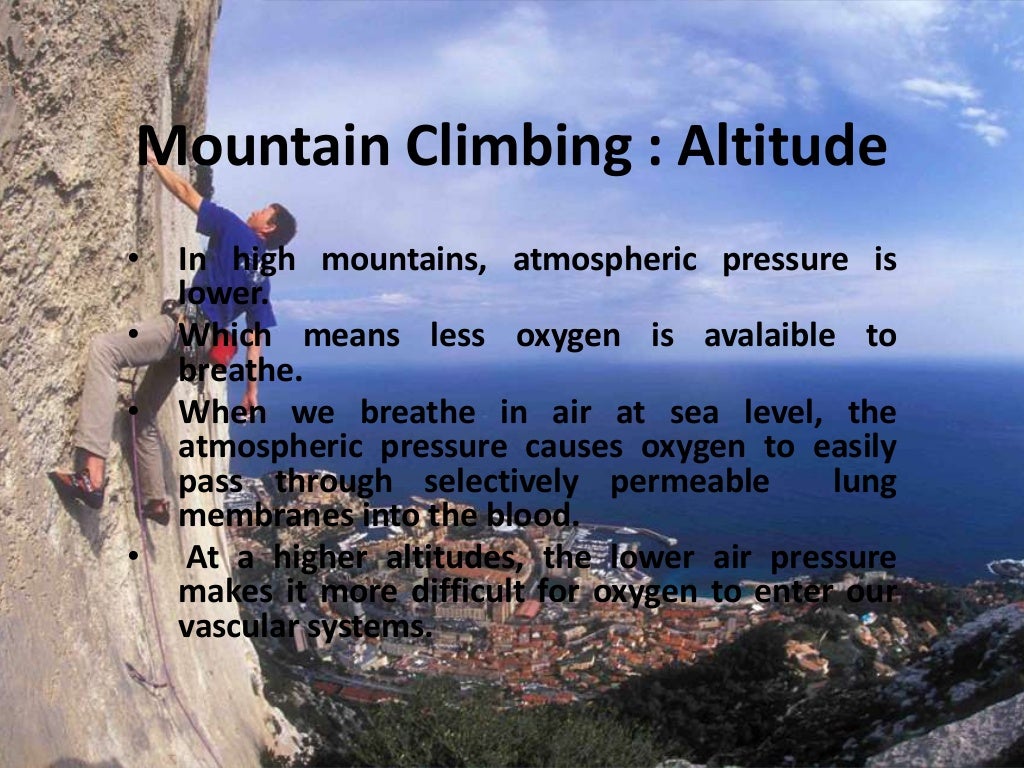 Mountain climbing ( Assignment 4 & 5 )