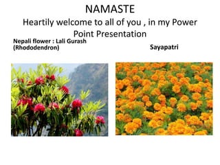 NAMASTE
Heartily welcome to all of you , in my Power
Point Presentation
Nepali flower : Lali Gurash
(Rhododendron) Sayapatri
 