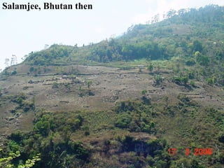 Climate Smart Agricultural Practices for Food Security in the Mountain Areas of Eastern Himalayas