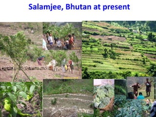 Climate Smart Agricultural Practices for Food Security in the Mountain Areas of Eastern Himalayas