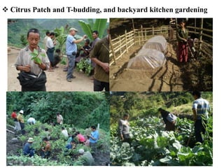 Climate Smart Agricultural Practices for Food Security in the Mountain Areas of Eastern Himalayas