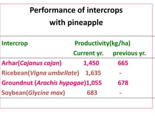 Climate Smart Agricultural Practices for Food Security in the Mountain Areas of Eastern Himalayas