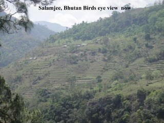 Climate Smart Agricultural Practices for Food Security in the Mountain Areas of Eastern Himalayas