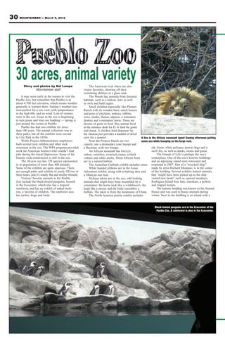 24 MOUNTAINEER — March 9, 2012

Marital infidelity not an option
       Commentary by                              It sounded so romantic and
  Chap. (Maj.) Kenneth Hurst                sentimental to all those “me
       Deputy chaplain,                     generation” folks at the time.
      4th Infantry Division                 But think about it … it does not
                                            promise to do anything beyond
     Next month my wife and I will          what a person felt like doing. It
celebrate 35 years of marriage. OK,         said, “I will only love you when                 “Can a man scoop fire
that makes most of our Soldiers young       it is easy, convenient and doesn’t
enough to be our kids — and if you do       interfere with other things in my                 into his lap without his
the math, that means we were married        life.” Clearly this was not the
in the wild days of the mid-1970s. It       basis for a long-term relationship                clothes being burned?
was a very different world back then.       and did not provide the foundation
Fashion fads included leisure suits,        upon which to face the hardships                  Can a man walk on hot
polyester pants and platform shoes.
We were listening to great music: Led
                                            of the future.
                                                  Whether separated by                        coals without his feet
Zeppelin, Aerosmith, the Eagles, Stevie
Wonder and, of course, it was age
                                            a deployment or working through
                                            the daily pressures and responsi-
                                                                                              being scorched?”
of disco when the Bee Gee’s thrilled        bilities of life together, the issue                                           — Proverbs 6:27-28
us with “Saturday Night Fever.”             of the hard work of maintaining
     In a “New Yorker” magazine article,    marital fidelity is present. In both
novelist Tom Wolfe called the ’70s          settings the challenge is to grow up,                    clothes being burned? Can a man                                       Attend a Strong Bonds marriage
the “Me Generation” — a time when           grow together and finish strong.                         walk on hot coals without his feet                                    event. Look for healthy ways to build
personal preferences and desires were             Problems arise when two                            being scorched?” Solomon’s intent is                                  up your commitment to your spouse.
more important than those of our society    people come to marriage with a                           to warn his son about the end state                                   Go on a date night. Even if you are in
or our religious communities. This was      “me generation” commitment. They                         of such action. We must re-enforce                                    the middle of a deployment you can
typically demonstrated when my soon-        are insufficiently equipped to                           our heart by deciding ahead of time                                   stay connected to your spouse with
to-be bride and I attended the wedding      make wise and loving choices to be                       that marital infidelity is not an                                     regular dialogue. We are surrounded
of one of her childhood friends in          faithful over the long haul. But it                      option. The decision must be made                                     by valuable technology that allows us
upstate New York. Complete with             is never too late to look in the                         before the temptation arrives. To not                                 much greater access to our Families
appropriate leisure suit and mini-skirt     mirror and remind yourself of what                       decide, is to leave ourselves open for                                than any time previously.
style wedding dress, the bride and groom    “forever, is for.” Let me explain.                       family heartbreak and ruin. This is                                       Thankfully, we are no longer
came down the aisle to the eight track            First, you need to be convinced                    very much a matter of the heart.                                      limited to the “me generation”
tape version of Paul Stookey’s “Wedding     of the inescapable folly of letting                      Folks who value and treasure their                                    philosophy of the ’70s. Do the hard
Song.” (Yes, he is the Paul from            yourself go down the path of marital                     loved ones will act wisely.                                           work of protecting your marriage
Peter, Paul and Mary.) With minimal         unfaithfulness. The wisdom of                                Second, use Army resources to                                     and your future by maintaining the
participation by the minister, the couple   Solomon re-enforces my thinking                          strengthen your relationship with                                     integrity of your relationships.
completed their marriage vows by            along this line. Proverbs 6 warns                        your spouse. Talk to your chaplain or                                     “Above all else, guard your heart,”
simply saying, “We promise to love each     us with the questions, “Can a man                        behavioral health counselors about                                    as Proverbs warns us, “for everything
other, as long as we both shall love.”      scoop fire into his lap without his                      what is happening in your relationship.                               you do flows from it.”


Chapel briefs

Facebook: Search “Fort Carson Chaplains                                                                            Chapel Schedule
  (Religious Support Office)” for the latest
                                                                                                                                     ROMAN CATHOLIC
  chapel events and schedules.                               Day                        Time                     Service                        Chapel                     Location                      Contact Person
Military Council of Catholic Women meets                     Saturday                   4-45 p.m.                Reconciliation                 Soldiers’                  Nelson  Martinez             Cecilia Croft/526-5769
                                                             Saturday                   5 p.m.                   Mass                           Soldiers’                  Nelson  Martinez             Cecilia Croft/526-5769
  Friday from 9:30-11:30 a.m. at Soldiers’                   Sunday                     8:15-8:45 a.m.           Reconciliation                 Soldiers’                  Nelson  Martinez             Cecilia Croft/526-5769
  Memorial Chapel. For more information call                 Sunday                     9 a.m.                   Mass                           Soldiers’                  Nelson  Martinez             Cecilia Croft/526-5769
  526-5769 or visit “Fort Carson Military                    Sunday                     10:30 a.m.               Religious education            Soldiers’                  Nelson  Martinez             Pat Treacy/524-2458
                                                             Sunday                     10:30 a.m.               RCIA                           Soldiers’                  Nelson  Martinez             Pat Treacy/524-2458
  Council of Catholic Women” on Facebook.                    Sunday                     11 a.m.                  Mass                           Healer                     Evans Army Hospital           Fr. Nwatawali/526-7347
Knights of Columbus, a Catholic group for men                Mon-Fri                    11:45 a.m.               Mass                           Soldiers’                  Nelson  Martinez             Cecilia Croft/526-5769
  18 and older, meets the second and fourth                  Mon-Thurs                  noon                     Mass                           Healer                     Evans Army Hospital           Fr. Nwatawali/526-7347
  Tuesday of the month at Soldiers’ Memorial                                                                                            PROTESTANT
  Chapel. Call 526-5769 for more information.                Friday                     4:30 p.m.                Intercessory prayer,           Soldiers’                  Nelson  Martinez             Chap. Stuart/524-4316
                                                                                                                 Bible Study
Protestant Women of the Chapel meets Tuesday                 Sunday                     9 a.m.                   Protestant                     Healer                     Evans Army Hospital           Chap. Gee/526-7386
  from 9:30 a.m. to noon at Soldiers’ Memorial               Sunday                     9 a.m.                   Communion Service              Provider                   Barkeley  Ellis              Chap. Landon/526-2803
                                                             Sunday                     9:15 a.m.                Sunday School                  Soldiers’                  Nelson  Martinez             Heidi McAllister/526-5744
  Chapel. Free child care is available. Email                Sunday                     9:30 a.m.                Sunday School                  Prussman                   Barkeley  Prussman           Heidi McAllister/526-5744
  carson@pwoc.org or visit PWOC Fort Carson                  Sunday                     11 a.m.                  Protestant                     Soldiers’                  Nelson  Martinez             Chap. Stuart/524-4316
  on Facebook for more information.                          Sunday                     11 a.m.                  Gospel                         Prussman                   Barkeley  Prussman           Ursula Pittman/503-1104
                                                             Sunday                     10 a.m.                  Chapel NeXt                    Veterans                   Magrath  Titus               Chap. Palmer/526-3888
Catholic Religious Education registration is under           Sunday                     2:30-4:30p.m.            Youth ministry                 Soldiers’                  Nelson  Martinez             Heidi McAllister/526-5744
  way for the religious education year, which runs           Sunday                     5:30 p.m.                Chapel NeXt                    Soldiers’                  Nelson  Martinez             Chap. Black/524-1822
  through May 6 for children age 4 through high              Tuesday                    9:30 a.m.                PWOC                           Soldiers’                  Nelson  Martinez             Chap. Stuart/524-4316
  school students. Email patricia.treacy@us.army.mil
  to obtain a registration form. Classes are Sunday                                                                                           JEWISH
                                                             Fort Carson does not offer Jewish services on post. Contact Chap. (Lt. Col.) Fields at 503-4090/4099 for Jewish service and study information
  from 10:30-11:50 a.m. at Soldiers’ Memorial
  Chapel. Adult Bible study and classes for adults                                                                                    ISLAMIC SERVICES
  seeking to join the Catholic Church are also               Fort Carson does not offer Islamic services on post. Contact the Islamic Society at 2125 N. Chestnut, 632-3364 for information.
  held during religious education.
Spanish Bible Study meets at Soldiers’ Memorial                                                                          (FORT CARSON OPEN CIRCLE) WICCA
                                                             Sunday                     1 p.m.                                         Provider Chapel, Building 1350, Barkeley and Ellis                ftcarsonopencircle@gmail.com
  Chapel Tuesday at 6 p.m. Contact Staff Sgt. Jose
  Varga at 719-287-2016 for more information.                                                                           COLORADO WARRIORS SWEAT LODGE
Community Prayer Lunch is held the third                     Meets once or twice monthly and upon special request. Contact Michael Hackwith or Wendy Chunn-Hackwith at 285-5240 for information.
  Thursday of each month at 11:30 a.m. at
  Soldiers’ Memorial Chapel. Lunch is provided;
  bring side dishes, salads or desserts.
Deployed Spouses Group meets for fellowship,
  food and spiritual guidance Wednesday at 5 p.m.
  at Soldiers’ Memorial Chapel Fellowship Hall.          Jewish Lunch and Learn with Chap.                                                                  suicide survivors, meets the second Tuesday of
  Children are welcome to attend. Call Cecilia             (Lt. Col.) Howard Fields takes place                                                              each month from 6:30-8 p.m. at the Fallen
  Croft at 526-5769 for more information.                  Wednesday from noon to 1 p.m. at                                                                       Heroes Family Center, building 6215, 6990
Latter Day Saints Soldiers: Weekly Institute Class         Provider Chapel. For more information,                                                                   Mekong St. The group is open to members
  (Bible study) is Wednesday at 7 p.m. at Soldiers’        call 526-8263.                                                                                            of all branches of service. Contact
  Memorial Chapel. Call 719-266-0283 or                  Heartbeat, a support group for battle buddies,                                                            Richard Stites at 719-598-6576 or Cheryl
  719-649-1671 for more information.                       Family members and friends who are                                                                   Sims at 719-304-9815 for more information.
 