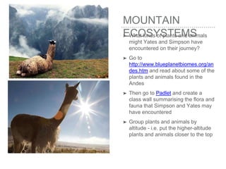 MOUNTAIN
ECOSYSTEMS➤ What kinds of plants and animals
might Yates and Simpson have
encountered on their journey?
➤ Go to
http://www.blueplanetbiomes.org/an
des.htm and read about some of the
plants and animals found in the
Andes
➤ Then go to Padlet and create a
class wall summarising the flora and
fauna that Simpson and Yates may
have encountered
➤ Group plants and animals by
altitude - i.e. put the higher-altitude
plants and animals closer to the top
 