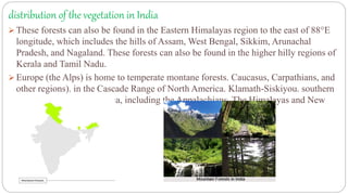  These forests can also be found in the Eastern Himalayas region to the east of 88°E
longitude, which includes the hills of Assam, West Bengal, Sikkim, Arunachal
Pradesh, and Nagaland. These forests can also be found in the higher hilly regions of
Kerala and Tamil Nadu.
 Europe (the Alps) is home to temperate montane forests. Caucasus, Carpathians, and
other regions). in the Cascade Range of North America. Klamath-Siskiyou. southern
and western South America, including the Appalachians. The Himalayas and New
Zealand.
distribution of the vegetation in India
 