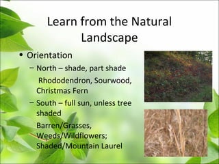 Learn from the Natural
Landscape
• Orientation
– North – shade, part shade
Rhododendron, Sourwood,
Christmas Fern
– South – full sun, unless tree
shaded
Barren/Grasses,
Weeds/Wildflowers;
Shaded/Mountain Laurel
 
