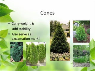 Cones
• Carry weight &
add stability
• Also serve as
exclamation mark!
 