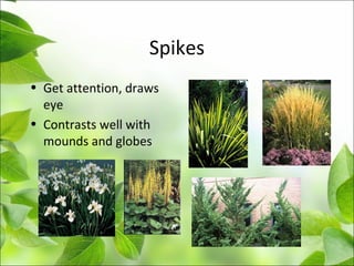 Spikes
• Get attention, draws
eye
• Contrasts well with
mounds and globes
 