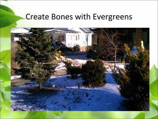 Create Bones with Evergreens
 