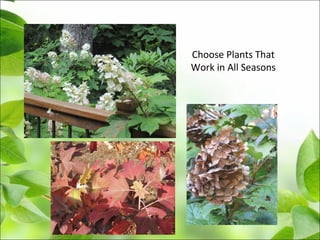 Choose Plants That
Work in All Seasons
 