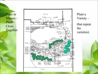 Plant in
Masses –
Plant
Close
Together
Plant a
Variety –
(but repeat
the
varieties)
 
