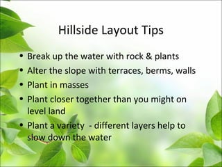 Hillside Layout Tips
• Break up the water with rock & plants
• Alter the slope with terraces, berms, walls
• Plant in masses
• Plant closer together than you might on
level land
• Plant a variety - different layers help to
slow down the water
 