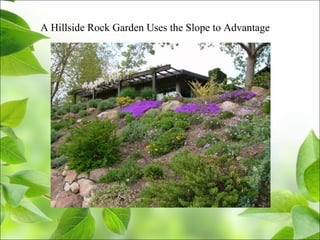 A Hillside Rock Garden Uses the Slope to Advantage
 