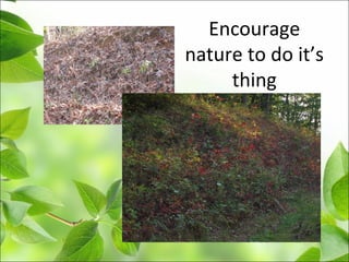 Encourage
nature to do it’s
thing
 