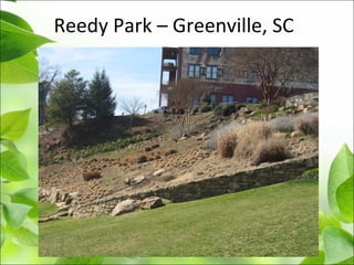 Reedy Park – Greenville, SC
 