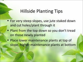 Hillside Planting Tips
• For very steep slopes, use jute staked down
and cut holes/plant through it
• Plant from the top down so you don’t tread
on those newly planted
• Place lower maintenance plants at top of
slope, higher maintenance plants at bottom
 
