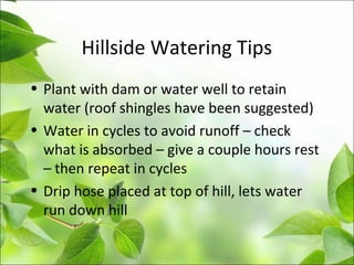 Hillside Watering Tips
• Plant with dam or water well to retain
water (roof shingles have been suggested)
• Water in cycles to avoid runoff – check
what is absorbed – give a couple hours rest
– then repeat in cycles
• Drip hose placed at top of hill, lets water
run down hill
 
