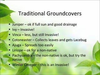 Traditional Groundcovers
• Juniper – ok if full sun and good drainage
• Ivy – Invasive!
• Vinca – less, but still Invasive!
• Cotoneaster – Collects leaves and gets Lacebug
• Ajuga – Spreads too easily
• Liriope – ok for a non-native
• Pachysandra – the non-native is ok, but try the
native
• Winter Creeper – this is an Invasive!
 