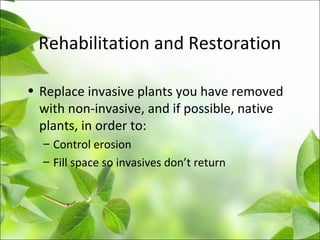 Rehabilitation and Restoration
• Replace invasive plants you have removed
with non-invasive, and if possible, native
plants, in order to:
– Control erosion
– Fill space so invasives don’t return
 