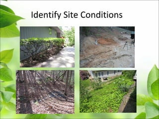 Identify Site Conditions
 