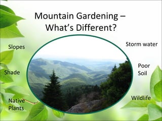 Mountain Gardening –
What’s Different?
Slopes
Shade
Storm water
WildlifeNative
Plants
Poor
Soil
 