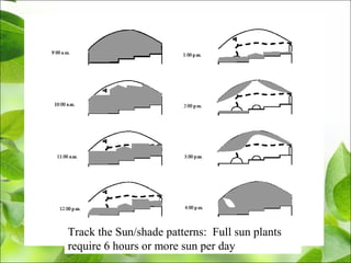 Track the Sun/shade patterns: Full sun plants
require 6 hours or more sun per day
 
