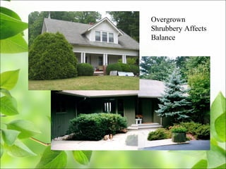 Overgrown
Shrubbery Affects
Balance
 