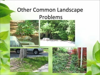 Other Common Landscape
Problems
 