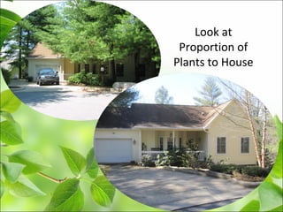 Look at
Proportion of
Plants to House
 