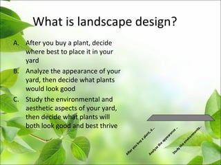 What is landscape design?
A. After you buy a plant, decide
where best to place it in your
yard
B. Analyze the appearance of your
yard, then decide what plants
would look good
C. Study the environmental and
aesthetic aspects of your yard,
then decide what plants will
both look good and best thrive Afteryou
buya
plant,d...
Analyze
the
appearance
..
Studytheenvironm
enta..
 