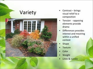 Variety
• Contrast – brings
visual relief to a
composition
• Tension - opposing
elements provide
drama
• Differences provides
interest and meaning
within a unified
context
• Shape
• Texture
• Color
• Weight
• Lines & curves
 