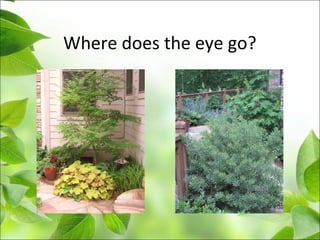 Where does the eye go?
 