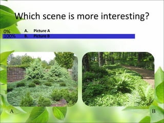 Which scene is more interesting?
A B
100%
0% A. Picture A
B. Picture B
 