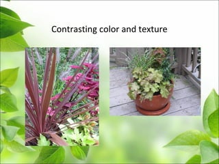 Contrasting color and texture
 