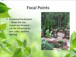 Focal Points
• Emphasis/Focalization
– draws the eye,
moves you forward –
can be influenced by
size, color, location,
lighting
 